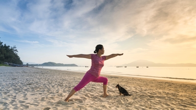 Animal-Assisted Therapy Photo